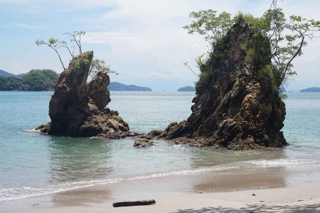 plage, montezuma, costa rica, islas tortugas, excursion, snorkelling, poissons